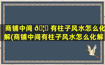 商铺中间 🦄 有柱子风水怎么化解(商铺中间有柱子风水怎么化解煞气)